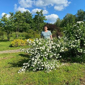 Фотография от Альбина Салимова-Ситдикова