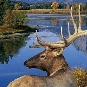 Фотография от АЛЕКСАНДР БУНЬКОВ