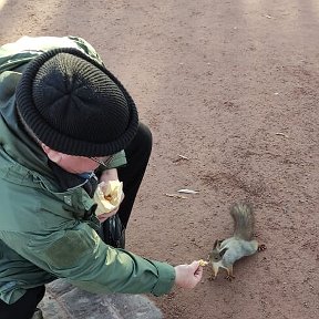 Фотография "Ну    вот  и ко  мне  белка  пришла"