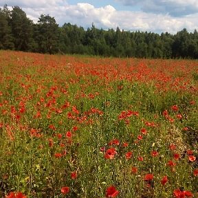 Фотография от Татьяна Гарина(Голикова)