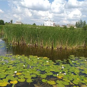 Фотография от Римма Журидова