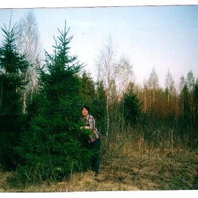 Фотография "Любимый мой край "Серебрянка" и в мире не надо чудес."