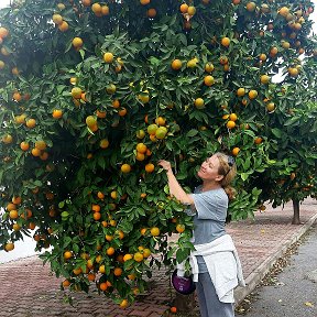 Фотография "9декабря."