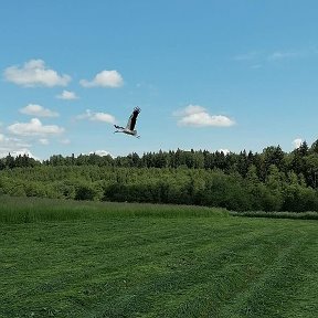 Фотография от Геннадий Краснов