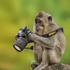 Фотография от Андрей Малаев