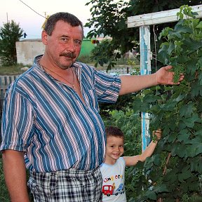 Фотография "наш урожай винограда"