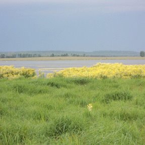 Фотография от Любовь Чупова (Козина)