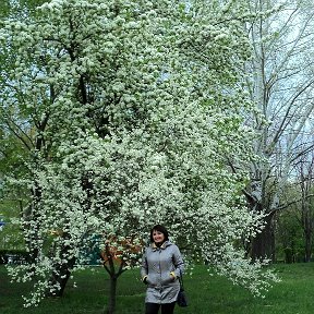 Фотография от Александра Шаповалова