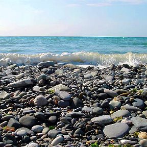 Фотография от ЧЕРНОЕ МОРЕ СДАЧА ЖИЛЬЯ