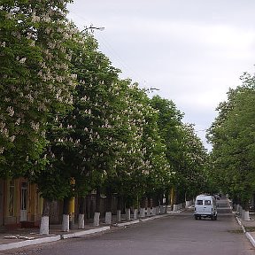 Фотография "бывшая улица Ленина"