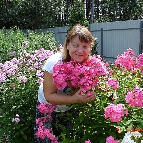 Фотография от людмила коннова(шевченко)