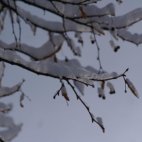 Фотография от Галина Щербак