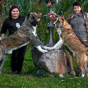 Фотография от ольга Курский Талисман