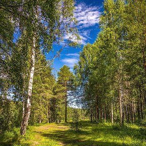 Фотография от Рома Гусев