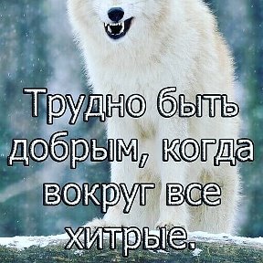 Фотография от Good Luck😋😋😋❤❤❤❤🤘👍🤏🤏👍