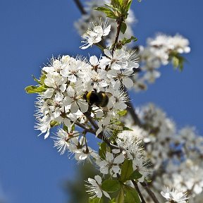 Фотография от Алёна Архипова