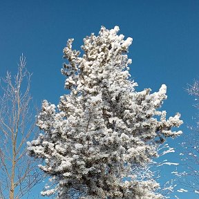 Фотография от Владимир Лукьянченко