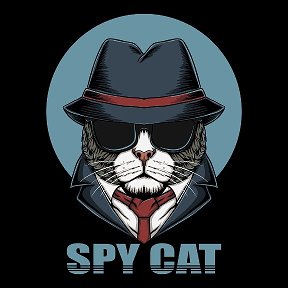 Фотография от Spy Cat