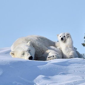 Фотография от не важно кто я