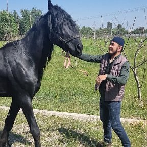 Фотография от محمد علي