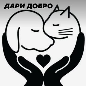 Фотография от 💖Дари добро💞🙏 Помощь бездомышам🤲🐶😺