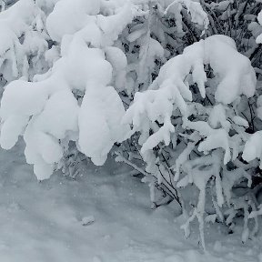 Фотография от Валентина Хакало