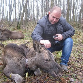 Фотография от Алексей Лукьянов