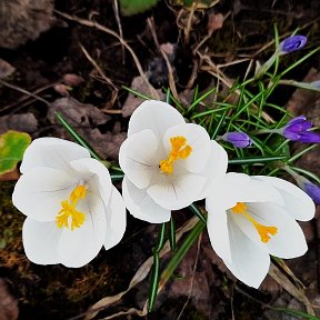 Фотография от Нина Кузнецова (Немцева)