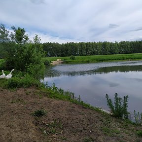 Фотография от Любовь Емельянова (Голговская)