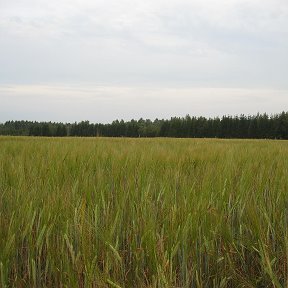 Фотография от Андрей Боковицкий