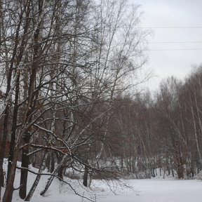 Фотография от Андрей Ракитянский