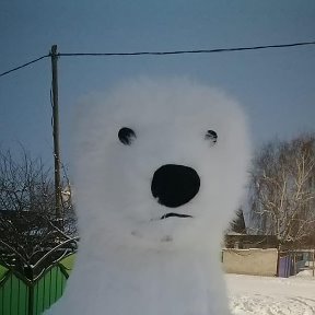 Фотография от Аниматор Медведь