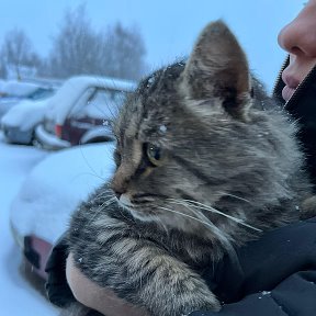 Фотография от Наташа Жемчужникова