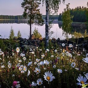 Фотография от Титаник )