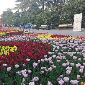 Фотография от ольга худолеева