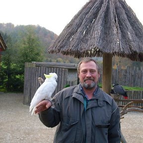 Фотография "Я в парке (Vogelpark)"