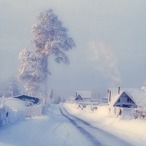 Фотография от Роман Солдатов