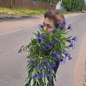 Фотография "Хорошо в деревне летом....."