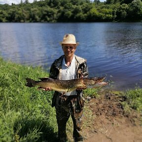 Фотография от Александр Овчинников