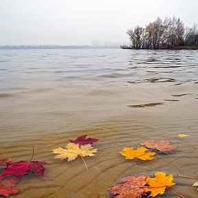 Фотография от Иван Царёв