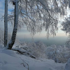 Фотография от Наталья Веснина