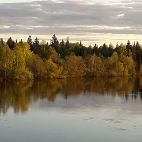 Фотография от Татьяна Бражникова