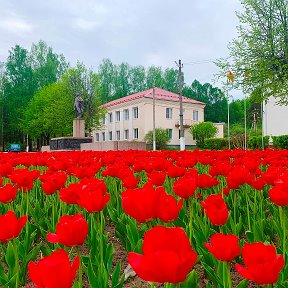 Фотография от Андреапольская библиотека