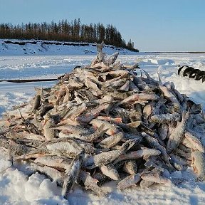 Фотография от санёк Мирзалиев