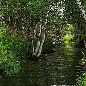 Фотография от Надежда Сайбель