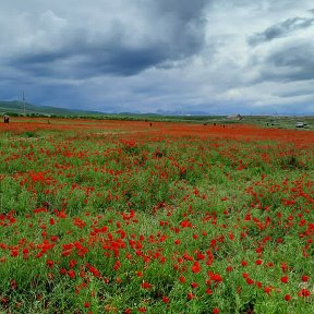 Фотография от Всем Привет