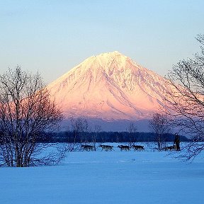 Фотография от Галина Пшеничная (Остапенко)