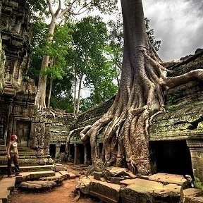 Фотография "Камбоджа"