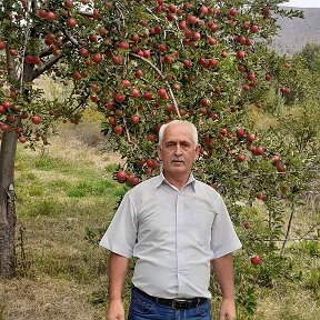 Фотография от Абдусалом Абдулганиевич