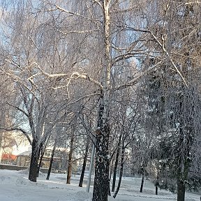 Фотография от Альбина Алиахметова